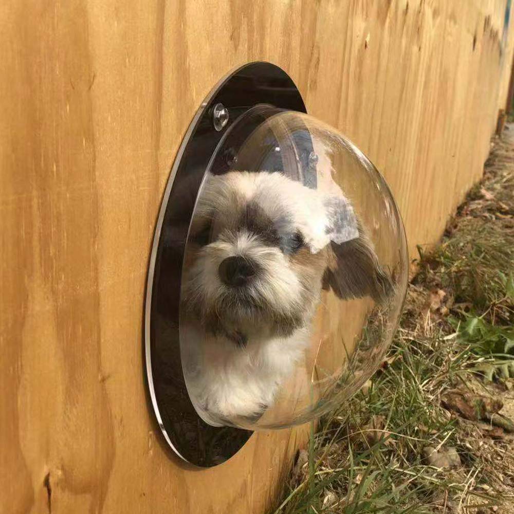 Bobbypet Dog Fence Window - Clear View Dome Pet Peek Window - 12.4In For Dog/Cat/Horse,Even Children (2 Pack)